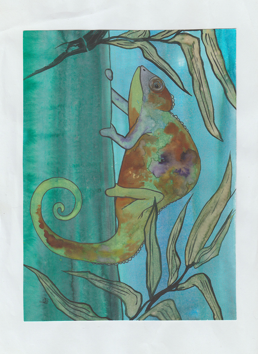 Chameleon2